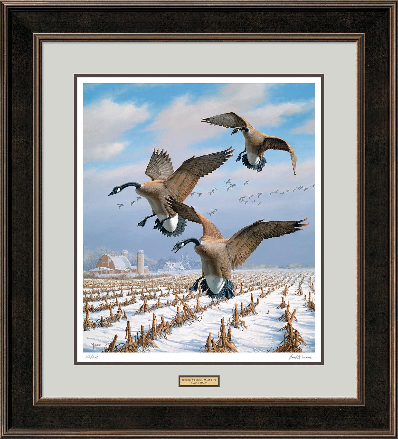 Winter Wonder-Canada Geese Art Collection – Wild Wings