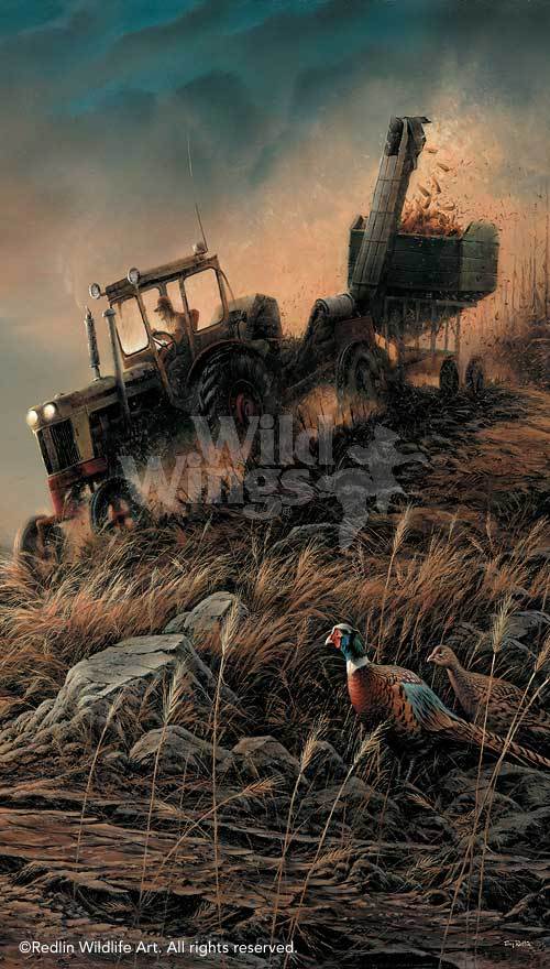 evening-harvest-by-terry-redlin-1701196889d.jpg