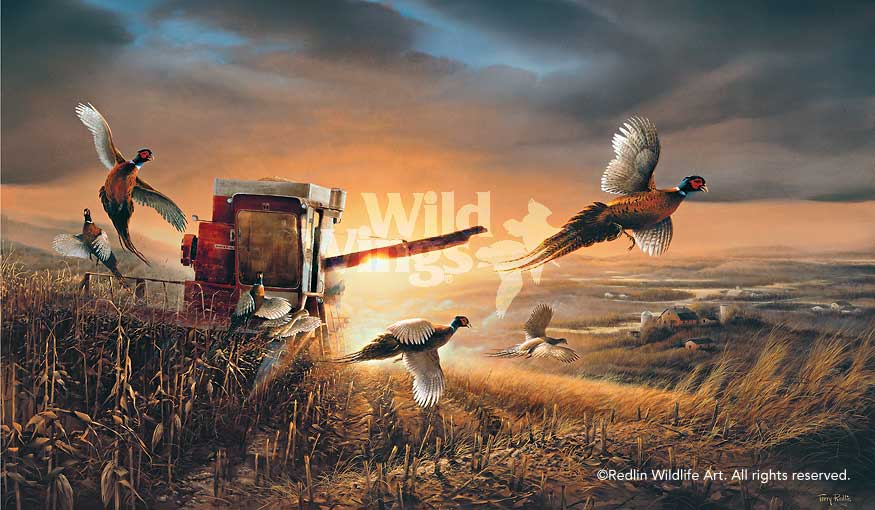 http://wildwings.com/cdn/shop/files/evening-surprise-pheasants-by-terry-redlin-1701225089d.jpg?v=1703788657