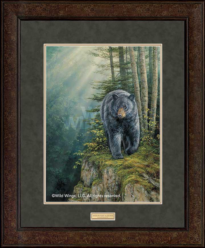 framed-black-bear-art-print-rocky-outcrop-by-rosemary-millette-ELT1921175dd.jpg