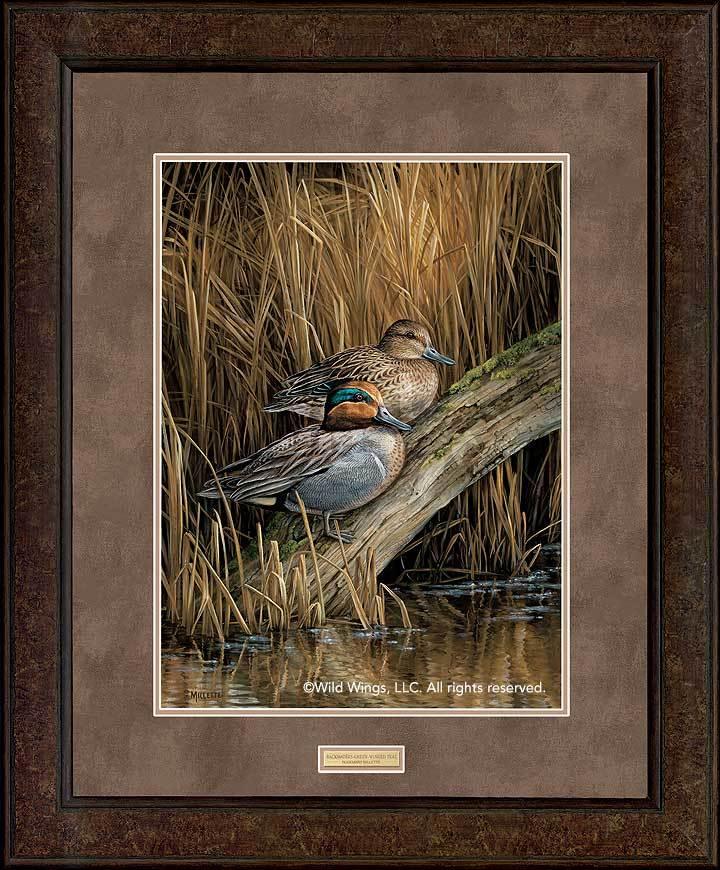 framed-ducks-art-print-backwaters-green-winged-teal-by-rosemary-millette-ELT1911505Dd_60d6ade4-939d-49ce-9235-b13944c408ab.jpg
