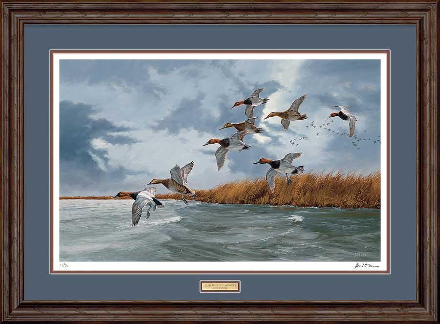framed-ducks-art-print-silver-bullets-canvasbacks-by-david-maass-F540707007d.jpg