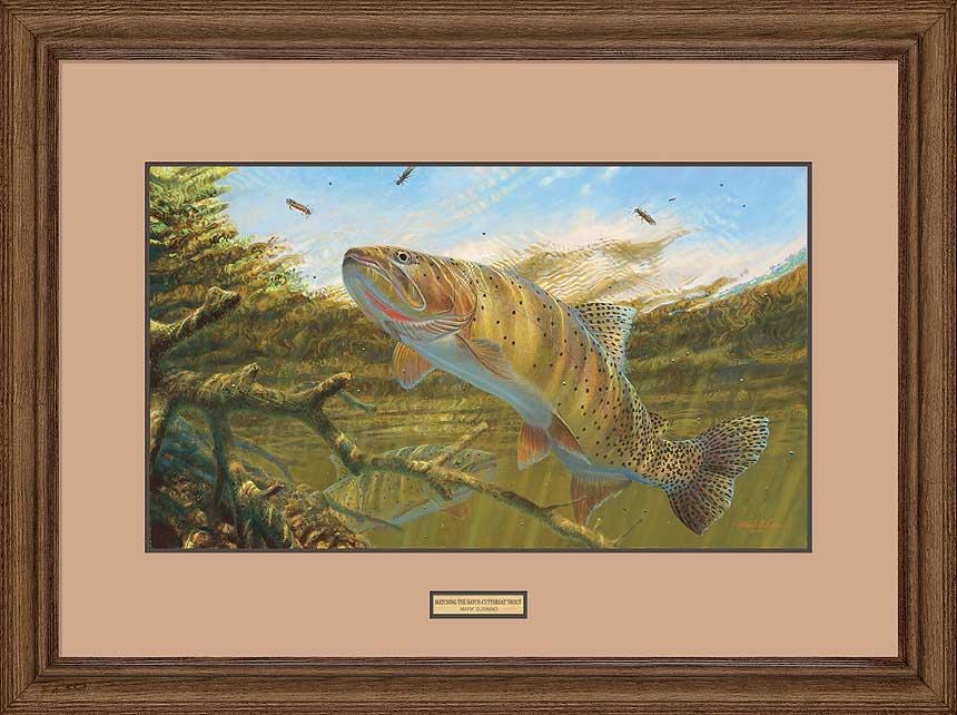 Matching the Hatch—Cutthroat Trout - Limited Edition Paper