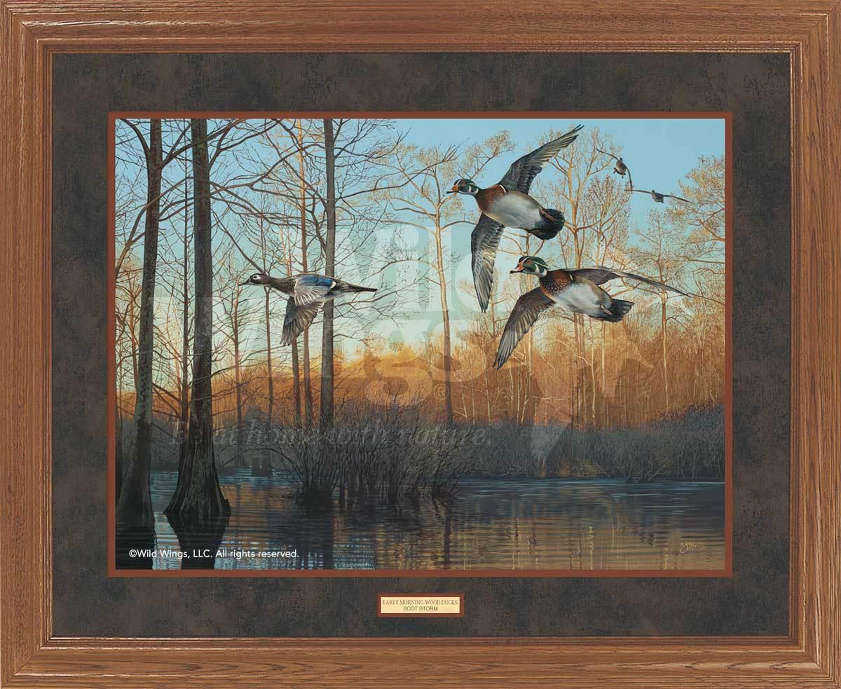 framed-wood-ducks-art-print-early-morning-by-scot-storm-EPR8301605d_549219a0-2c51-4d4a-bee8-929f5a9c36dc.jpg