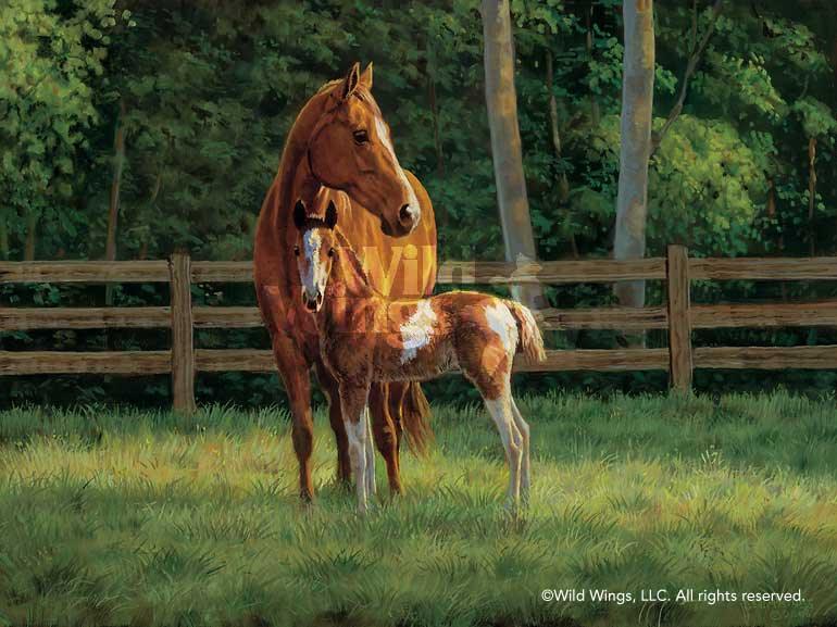 horses-art-print-josie-mare-foal-by-chris-cummings-1195369081d_a9159f43-b6c1-49aa-9021-a7270c80c4db.jpg
