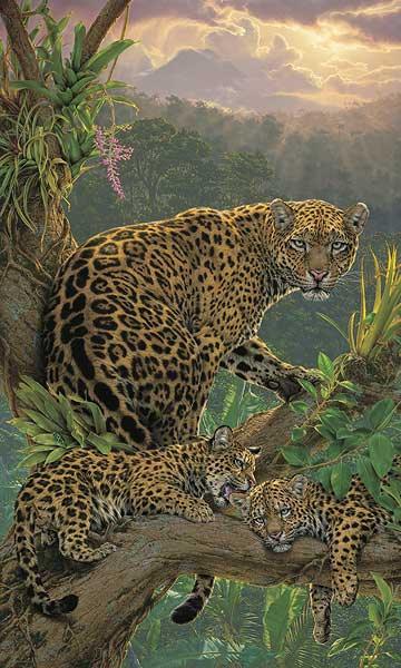 jaguars-art-print-family-tree-by-lee-kromschroeder-600px-F476205579.jpg