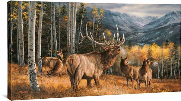 meadow-music-elk-gallery-wrapped-canvas-rosemary-millette-F593500166CGW_44f22ab8-f96f-4d69-9e62-3e71079aee33.jpg