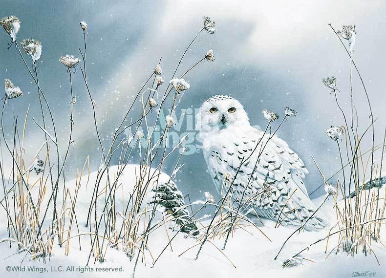 on-the-north-wind-snowy-owl-by-susan-bourdet-1085600030d_a3ab9129-b03b-4f04-93a2-98f0cd81cf64.jpg