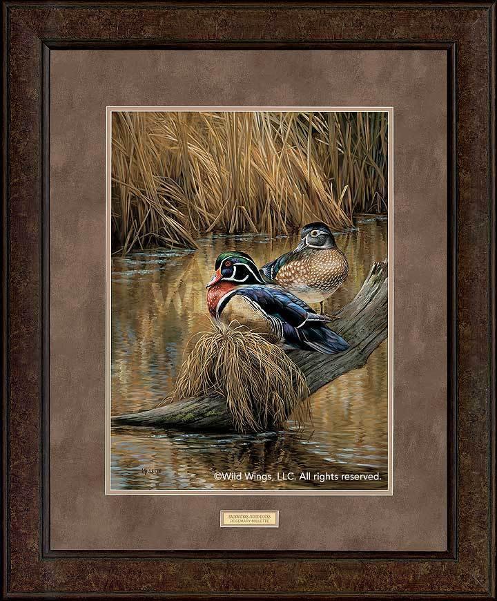 wood-ducks-framed-art-print-backwaters-by-rosemary-millette-ELT1911605Dd_5ae3f249-2b63-40d8-99b2-027b9e438ca1.jpg
