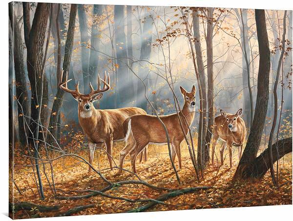 Nostalgic Wildlife Art - Framed Prints & Canvases – Page 2 – Wild Wings