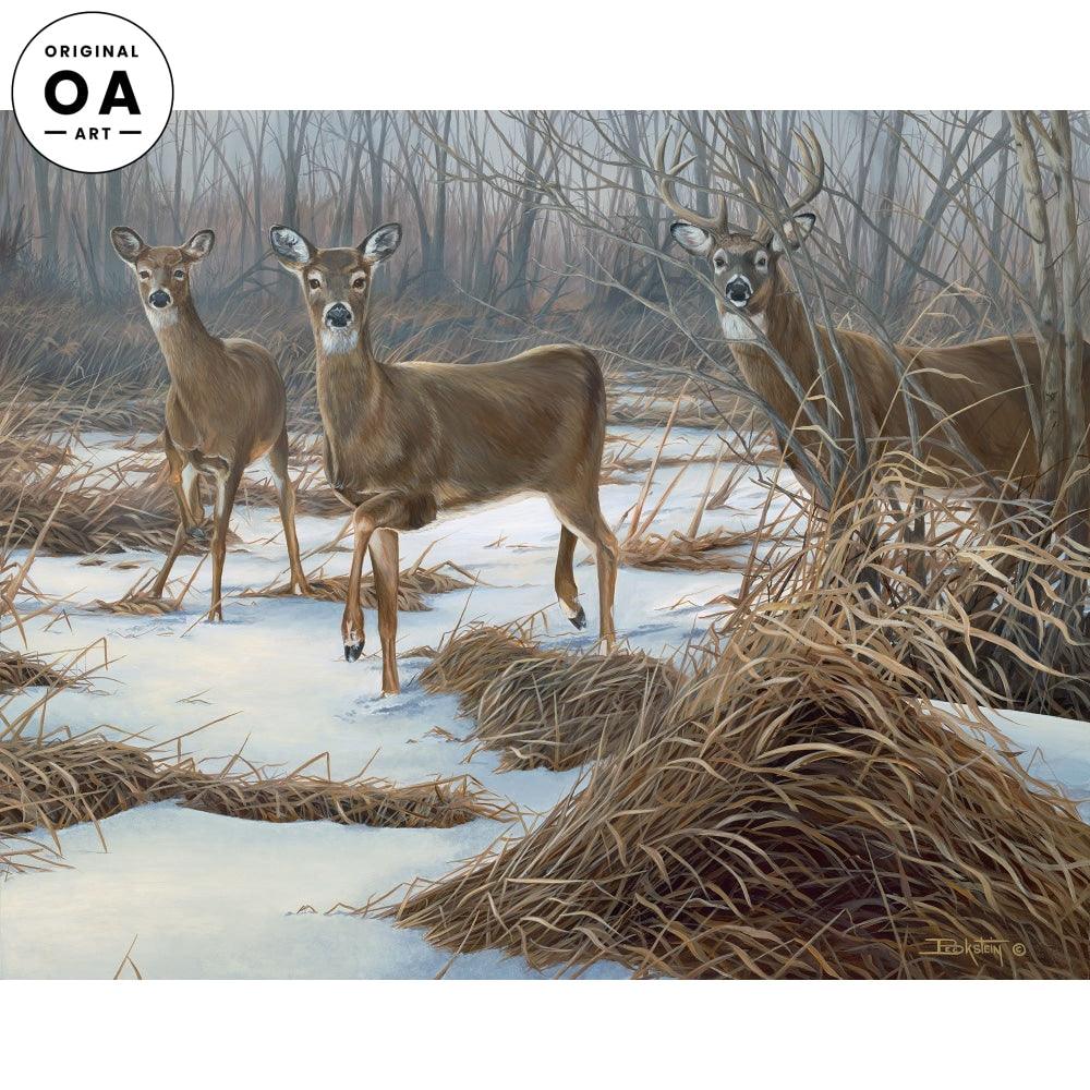 Whitetail Deer In Winter On Wood by Sam Timm Print