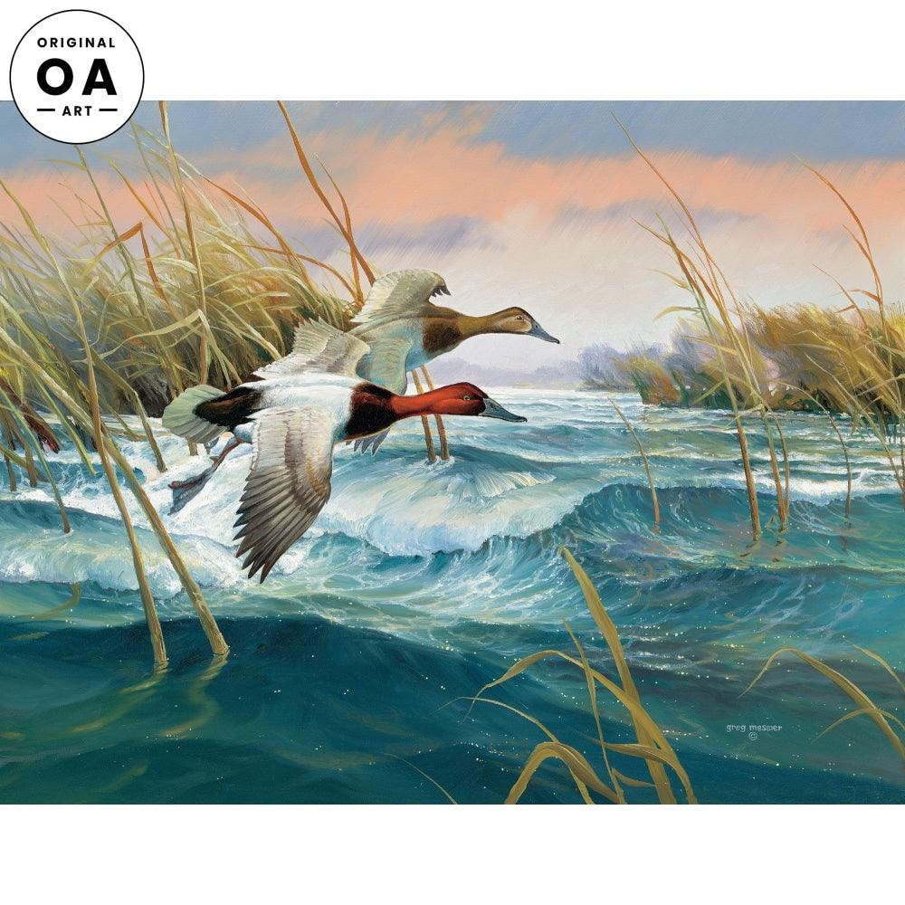 Wave Runners—Canvasbacks Original Oil Painting - Wild Wings