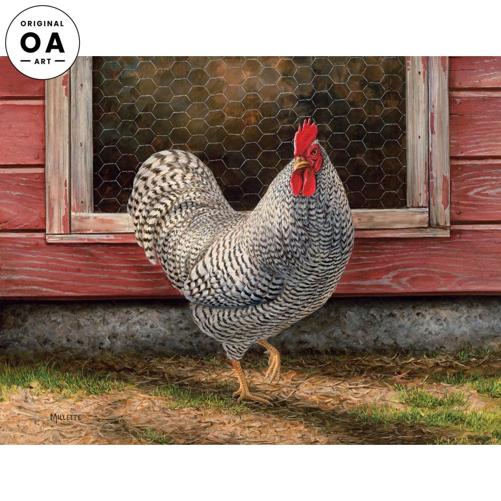 Plymouth Rock—Barred Rooster Original Acrylic Painting - Wild Wings