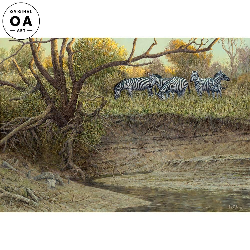 Cutbank—Zebras Original Oil Painting - Wild Wings