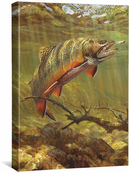 Brook Trout & Royal Coachman Gallery Wrapped Canvas – Wild Wings