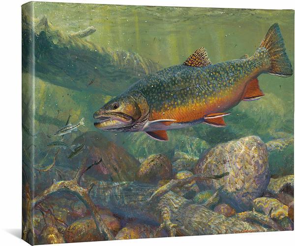 Hunting the Hunters-Brook Trout Gallery Wrapped Canvas – Wild Wings
