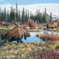 Time to Get-Moose Original Acrylic Painting - Wild Wings