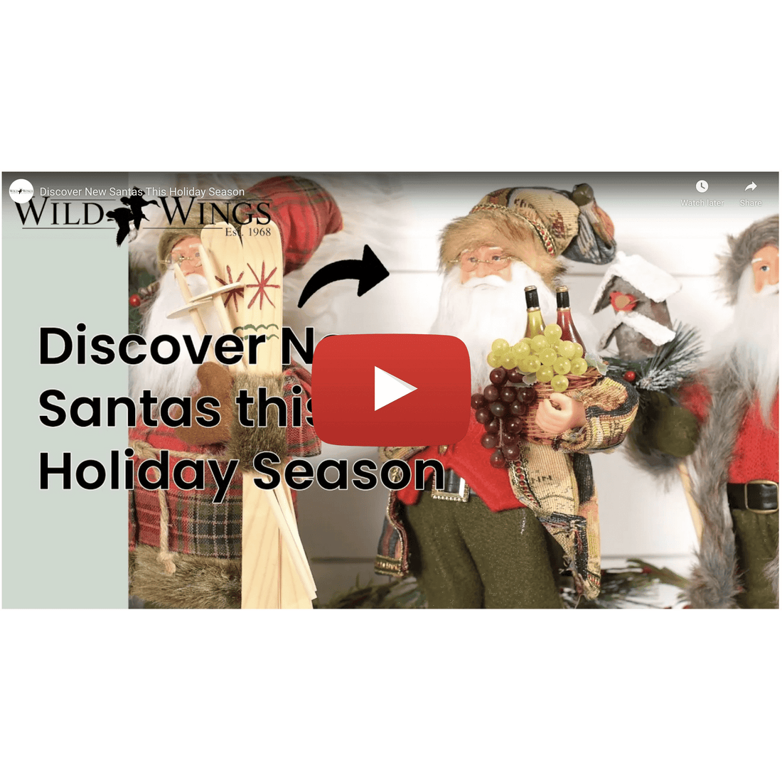 Discover New Santas this Holiday Season (Video) - Wild Wings