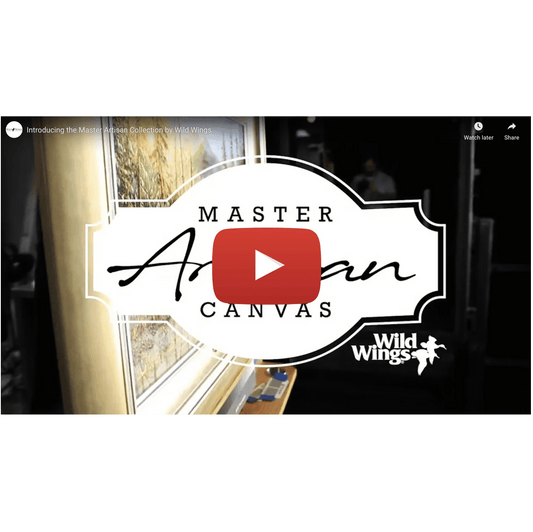 Introducing the Master Artisan Canvas Collection (Video) - Wild Wings