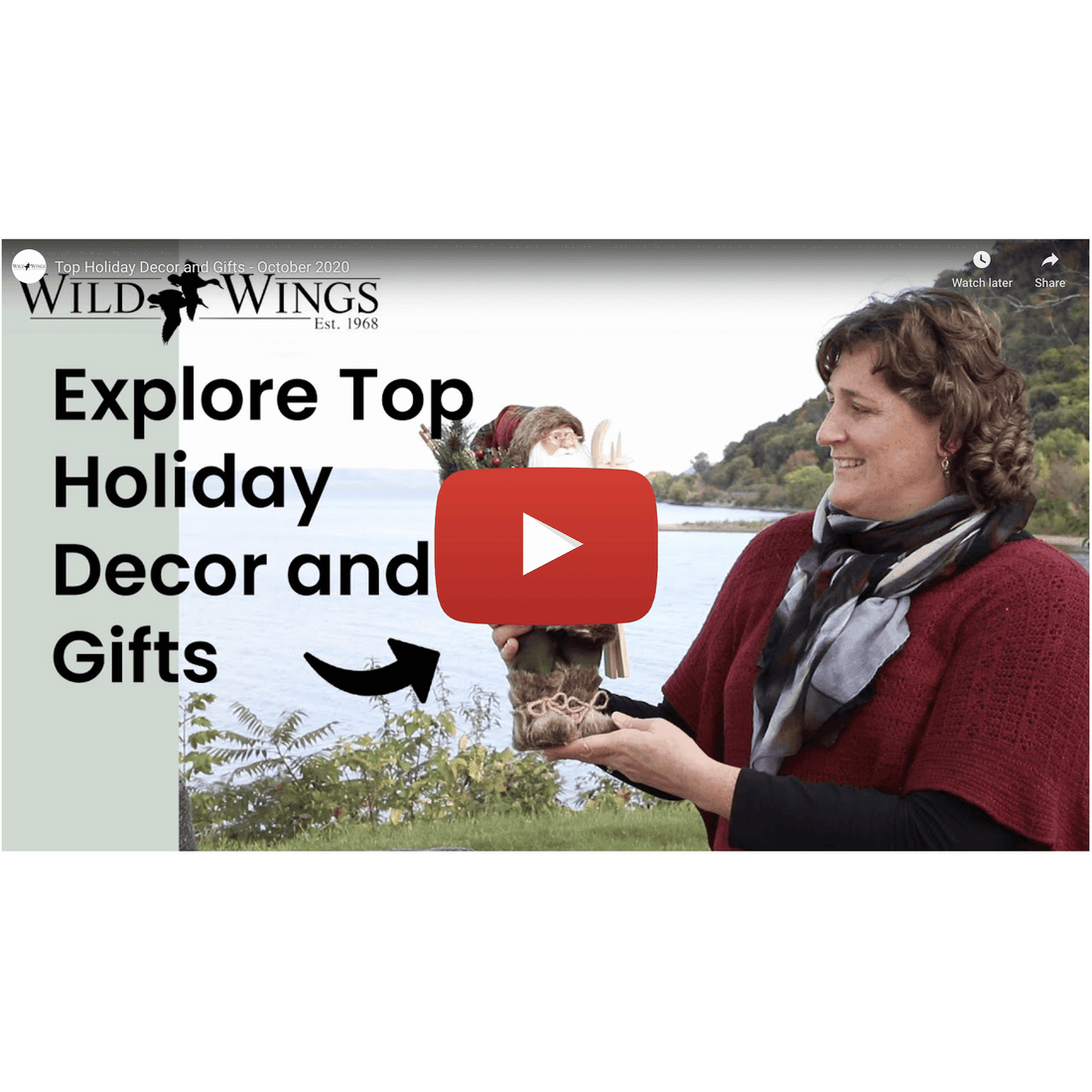 Top Holiday Decor and Gifts - October 2020 Collection (Video) - Wild Wings