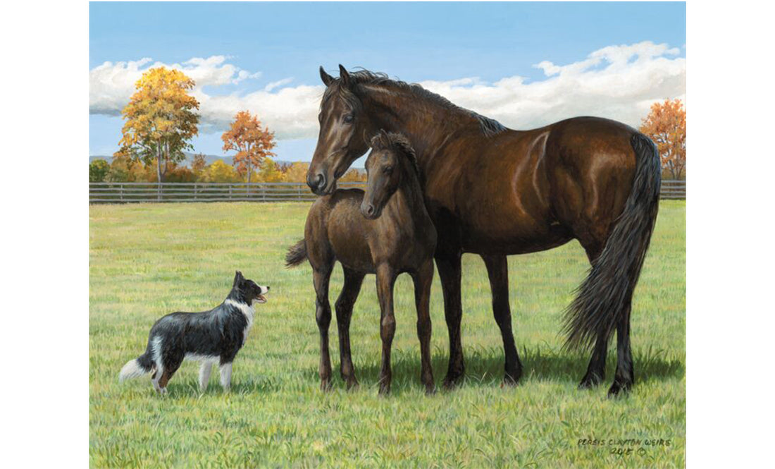 Equestrian Birthday Cards from Heartwarming Thoughts