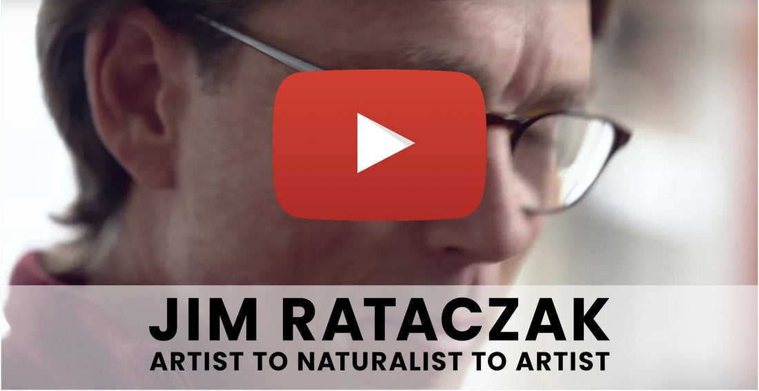 Artist Spotlight: Jim Rataczak—Artist to Naturalist to Artist - Wild Wings