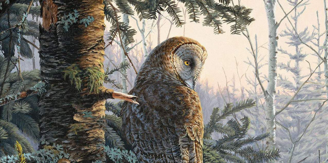 Wise Owl Paint – Cottle and Gunn