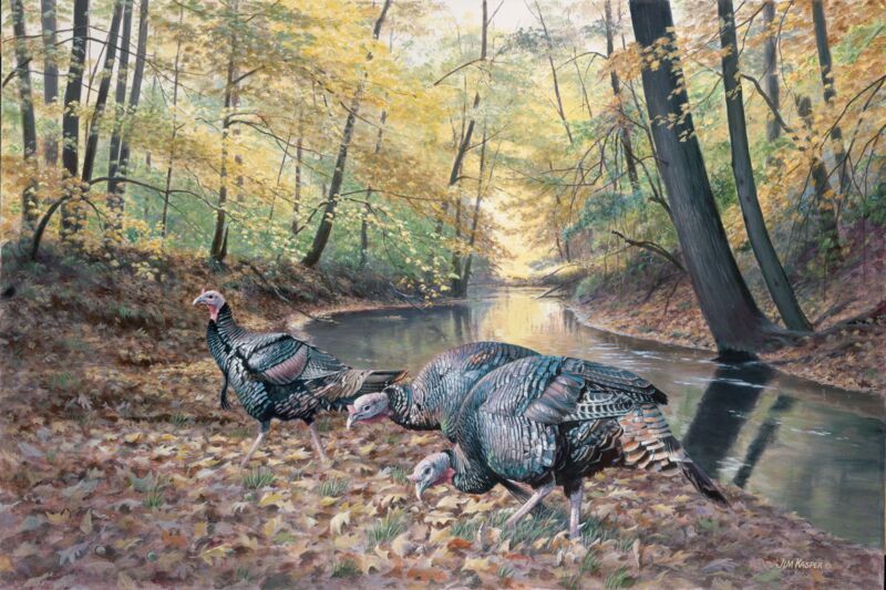 Acorn Hunters—Turkeys by Jim Kasper