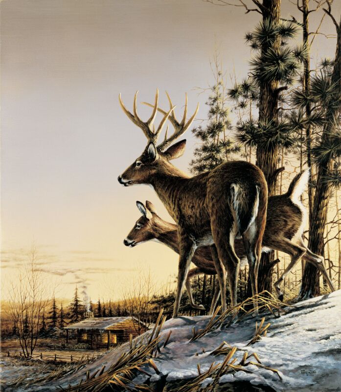 All Clear-Whitetail Deer by Terry Redlin