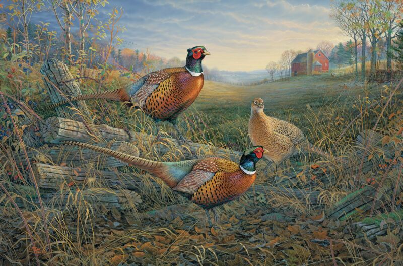 Autumn Afternoon—Pheasants by Sam Timm