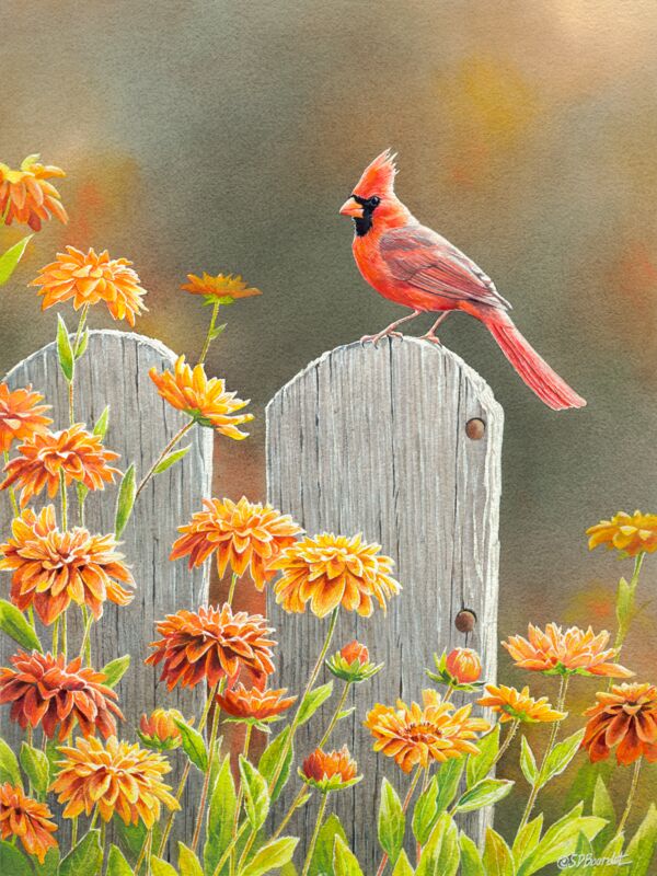 Autumn Garden—Cardinal by Susan Bourdet