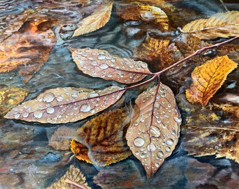 Autumn Raindrops by Rollie Brandt