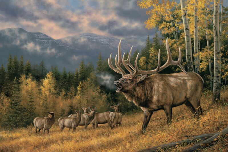 Autumn Song—Elk by Rosemary Millette