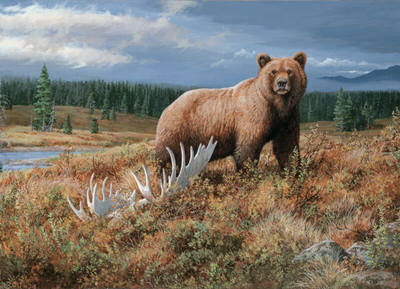 Autumn Splendor—Grizzly by Persis Clayton Weirs