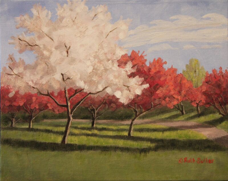 Blossoming Crabapples by Ruth Soller