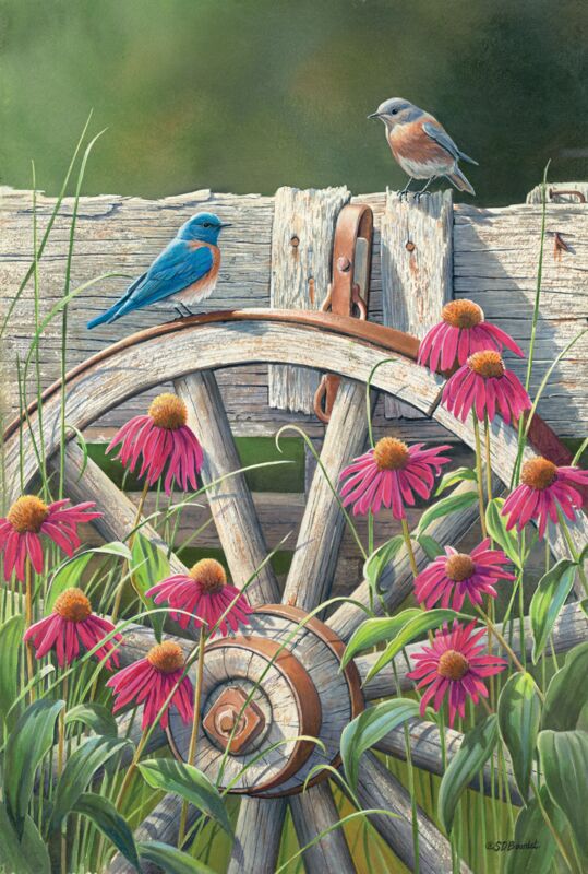 Bluebirds & Coneflowers