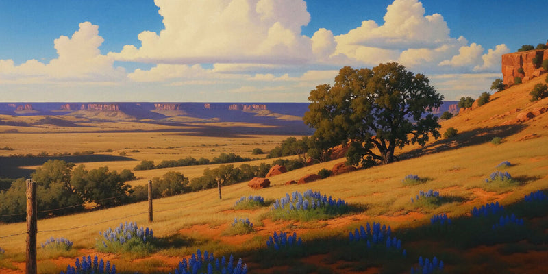 Bluebonnet Ranch