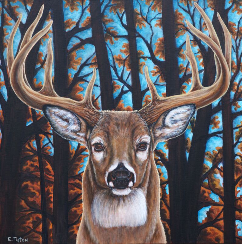 Braxton's Buck by Eddie Tipton