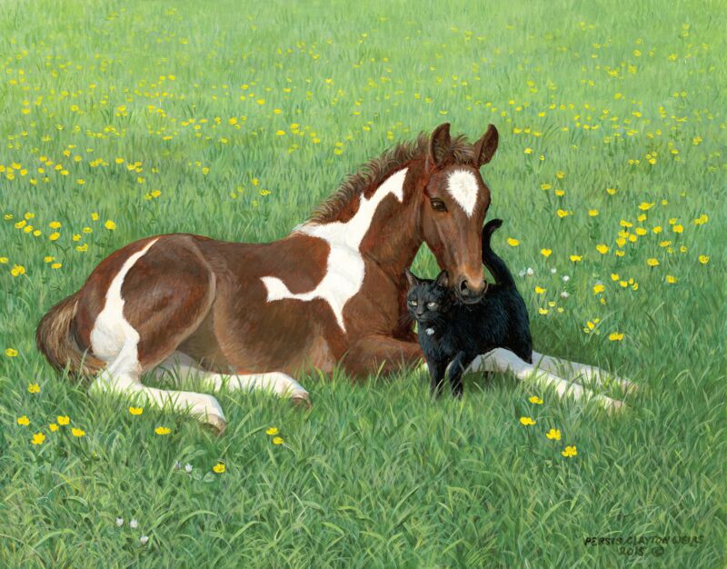 Buttercups—Colt and Cat by Persis Clayton Weirs