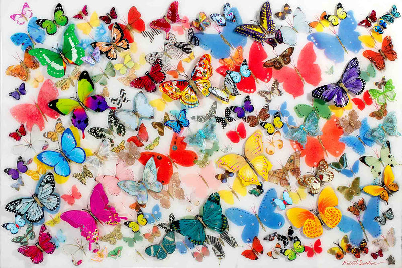 Butterflies Of The World