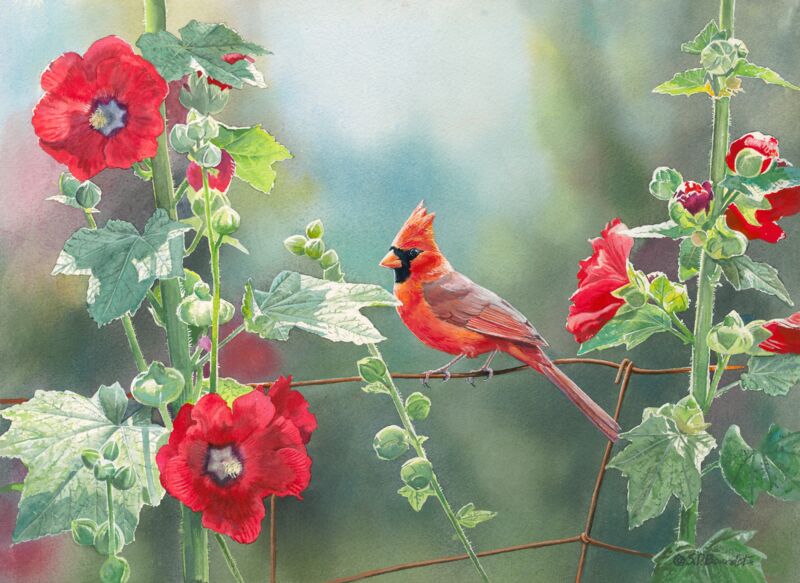 Cardinal and Hollyhocks by Susan Bourdet