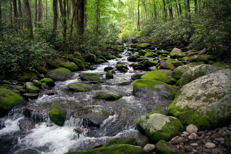 Cascading Stream