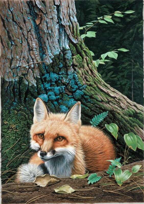 Cozy Retreat - Fox by Neal Anderson