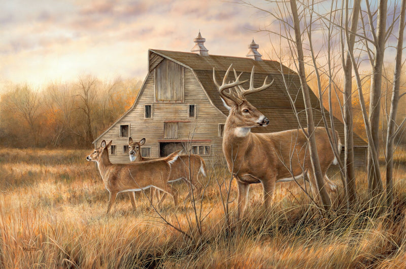 Deserted Farmstead—Whitetail Deer by Rosemary Millette