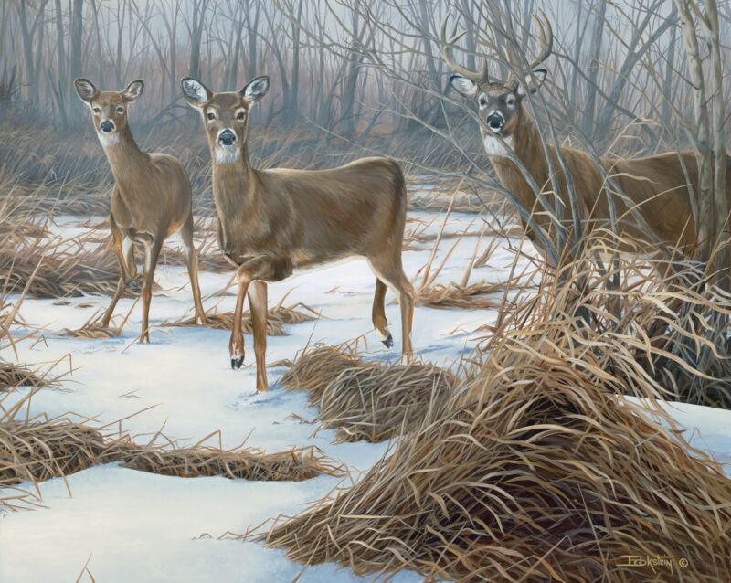 Double Date for Eight—Whitetail Deer by Larry Beckstein