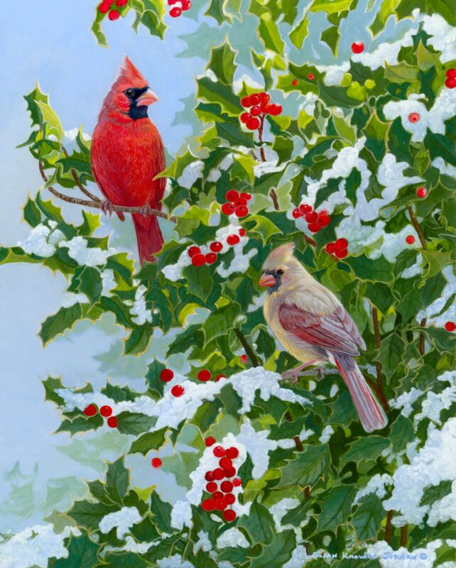 Duet—Northern Cardinals by Susan Knowles-Jordan