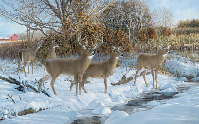 Early Snow—Deer by Ron Van Gilder