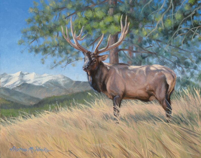 Elk Study by Tom Wosika