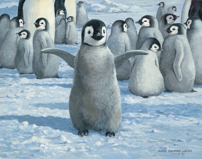 Emperor Chicks—Penguins by Persis Clayton Weirs