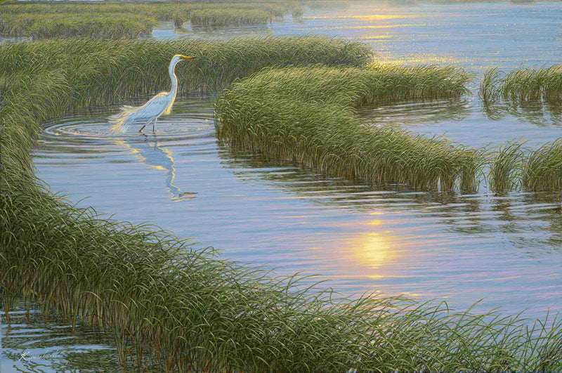 Evening Solitude-White Egret